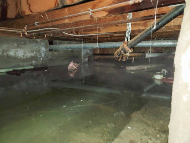 Best Flood damage cleanup  in Suncrest, WA