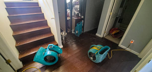 Best Ceiling water damage repair  in Suncrest, WA