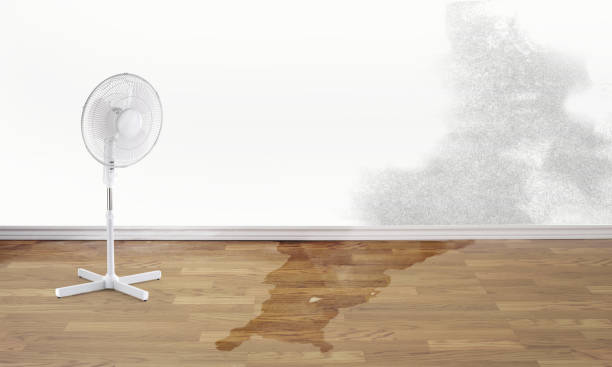 Best Sewage cleanup and water damage restoration  in Suncrest, WA