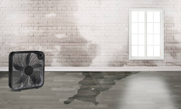 Best Emergency water damage restoration  in Suncrest, WA