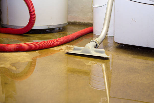 Best Carpet water damage restoration  in Suncrest, WA
