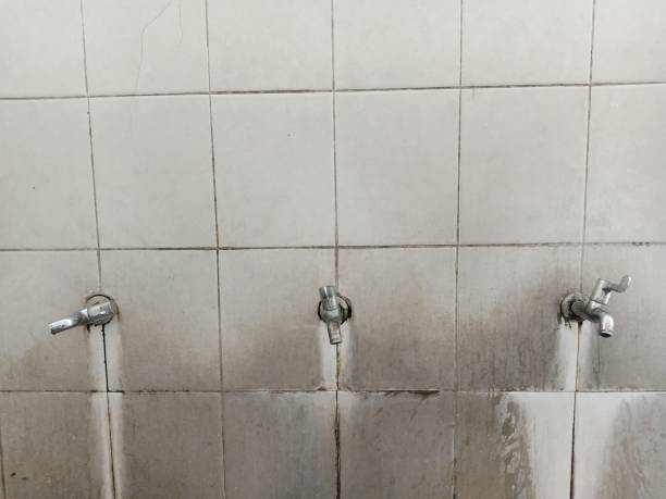 Best Water damage restoration experts  in Suncrest, WA